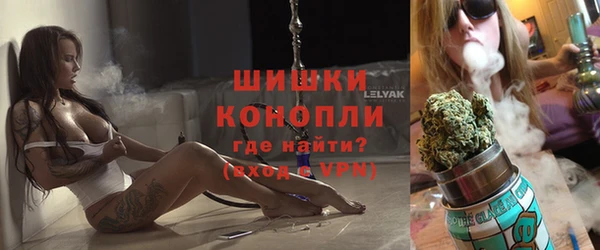 ECSTASY Бородино