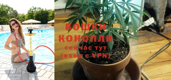 ECSTASY Бородино